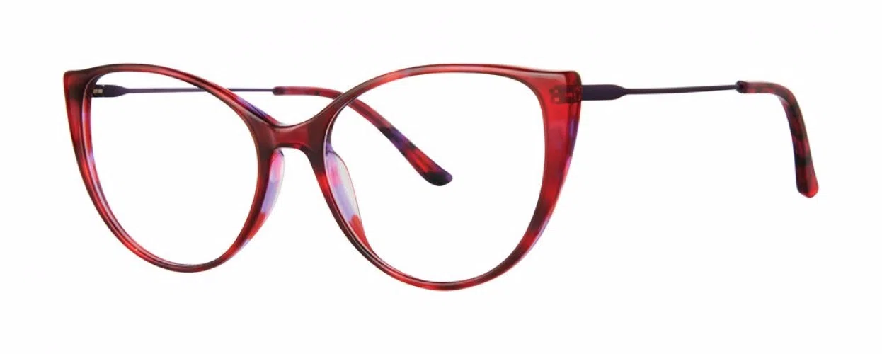 MODZ TITANIUM VALUABLE Eyeglasses - view 5